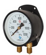 YZS-102 dual-pointers pressure gauge