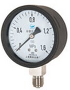 Special pressure gauge series